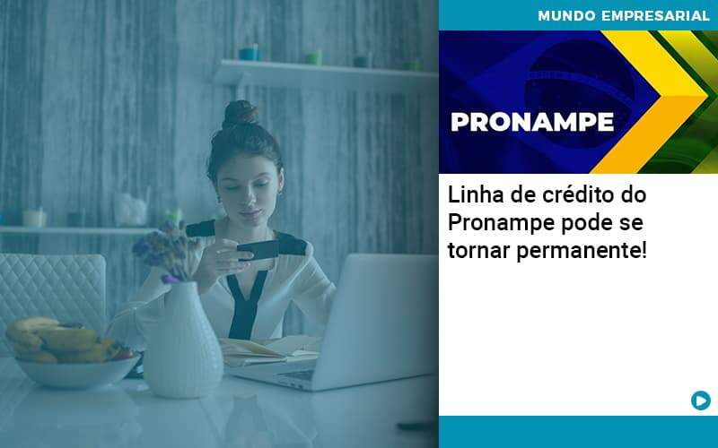 Linha De Credito Do Pronampe Pode Se Tornar Permanente - Job Cont