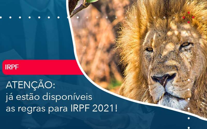 Ja Estao Disponiveis As Regras Para Irpf 2021 - Job Cont