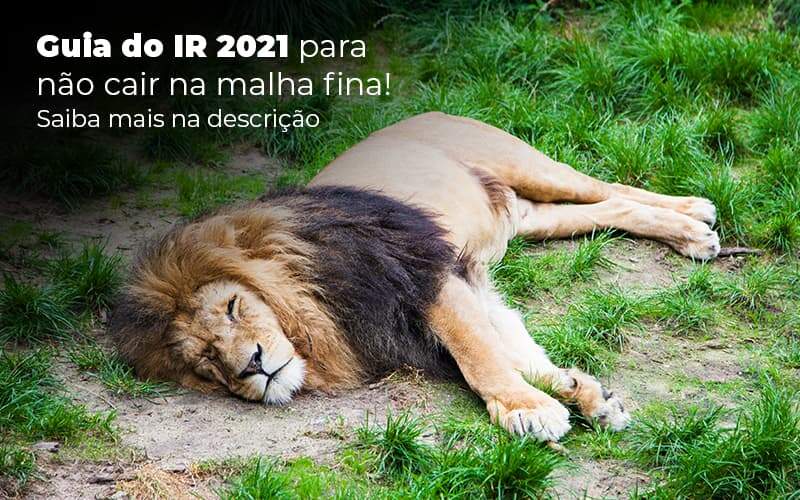 Guia Ir 2021 Para Nao Cair Na Malha Fina Saiba Mais Na Descricao Post 1 - Job Cont