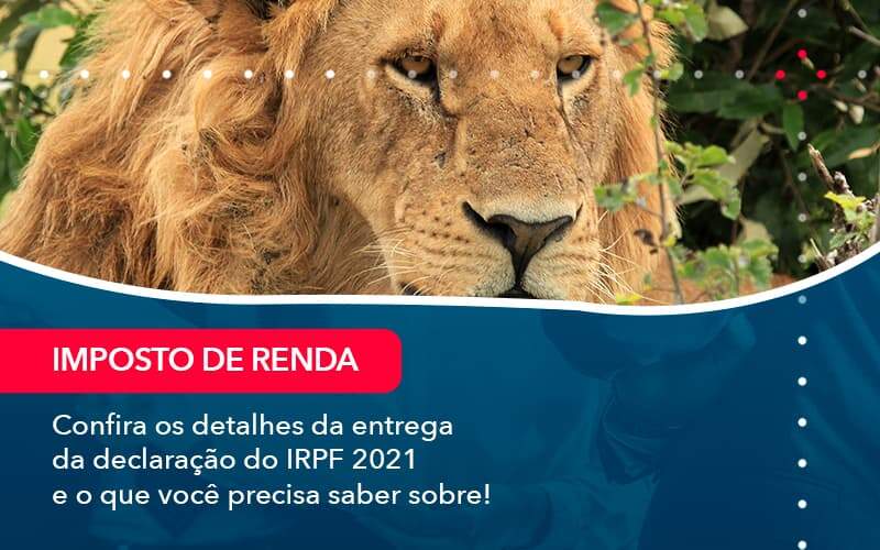 Confira Os Detalhes Da Entrega Da Declaracao Do Irpf 2021 E O Que Voce Precisa Saber Sobre 1 - Job Cont