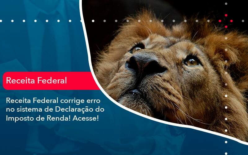Receita Federal Corrige Erro No Sistema De Declaracao Do Imposto De Renda Acesse 1 - Job Cont