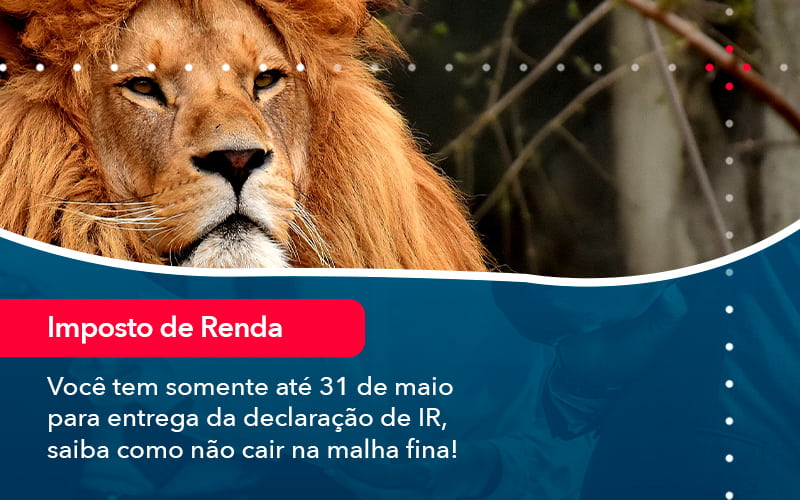 Voce Tem Somente Ate 31 De Maio Para Entrega Da Declaracao De Ir Saiba Como Nao Cair Na Malha Fina 1 - Job Cont